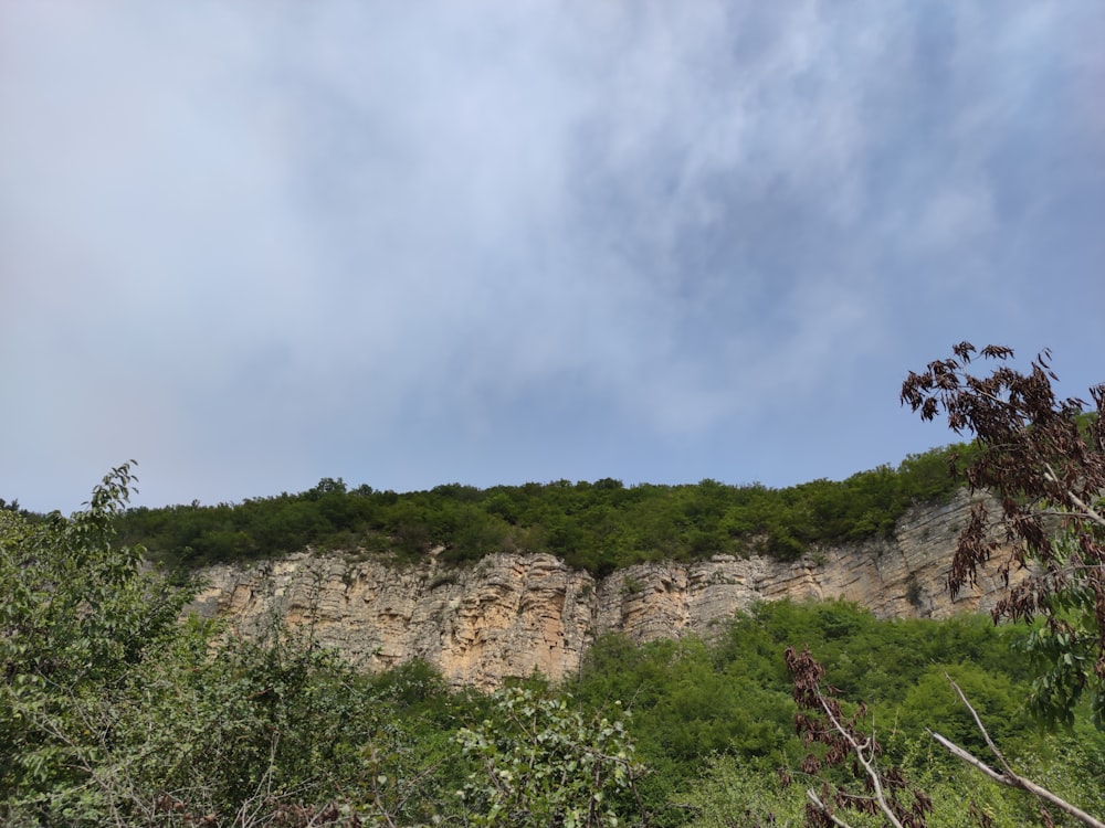 a mountain side with trees and bushes on the side