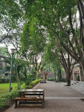 a couple of benches sitting under some trees