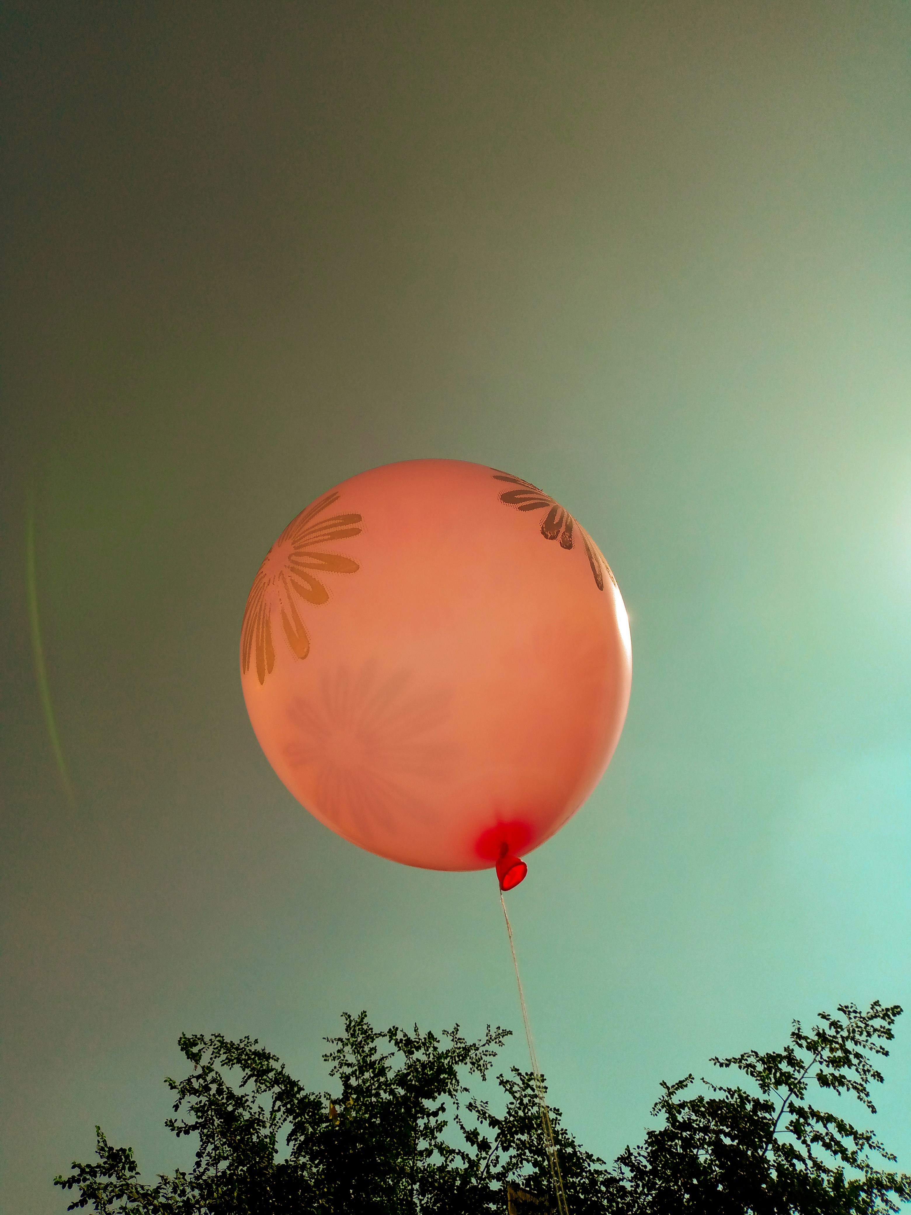 Ein rosafarbener Ballon, der in der Luft schwebt, mit Bäumen im Hintergrund