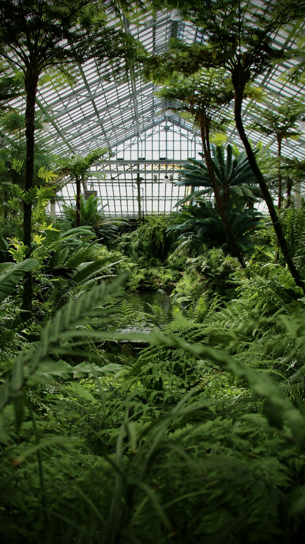 the inside of a greenhouse with lots of trees and plants