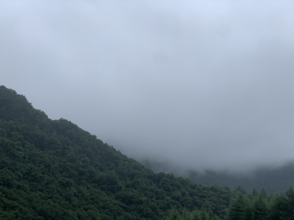 a mountain covered in fog and low lying clouds