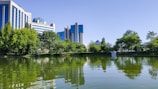 Modern buildings with blue-tinted glass windows rise behind a lush line of green trees. A tranquil pond in the foreground reflects the structures and vegetation, suggesting a harmony between urban development and nature.