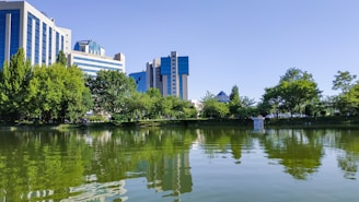 Modern buildings with blue-tinted glass windows rise behind a lush line of green trees. A tranquil pond in the foreground reflects the structures and vegetation, suggesting a harmony between urban development and nature.