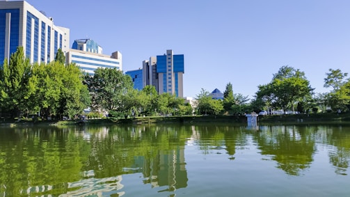 Modern buildings with blue-tinted glass windows rise behind a lush line of green trees. A tranquil pond in the foreground reflects the structures and vegetation, suggesting a harmony between urban development and nature.