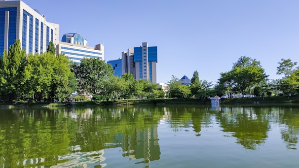 Modern buildings with blue-tinted glass windows rise behind a lush line of green trees. A tranquil pond in the foreground reflects the structures and vegetation, suggesting a harmony between urban development and nature.