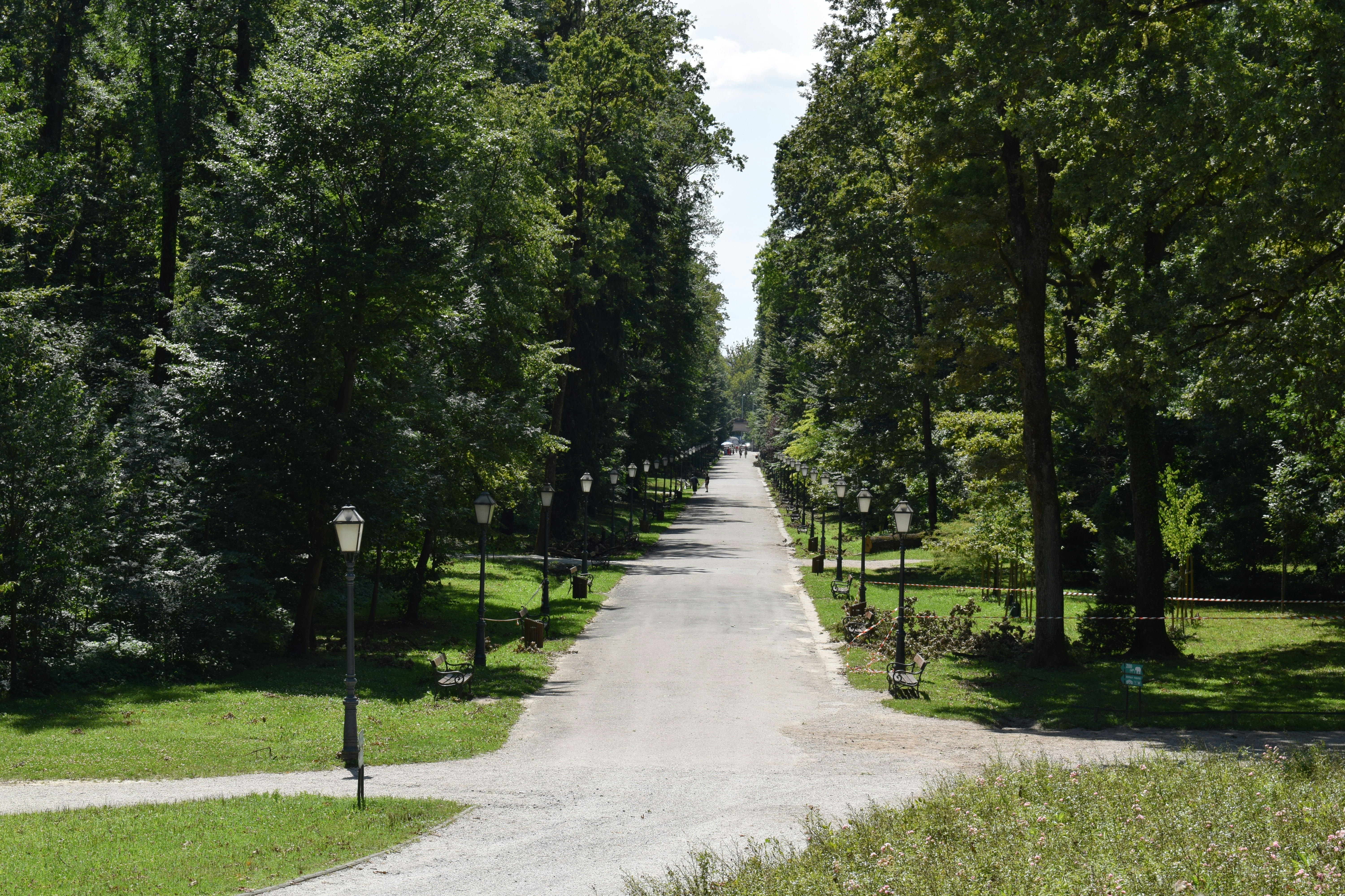 A street lined with lots of trees next to a lush green park