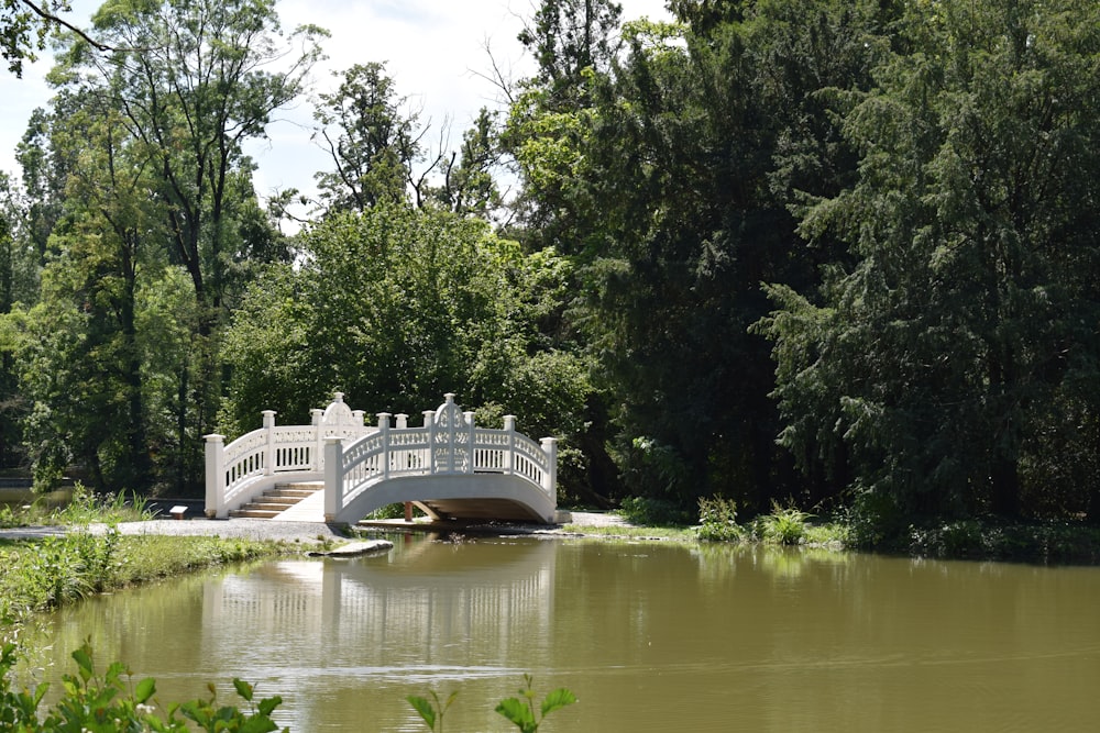 a bridge over a body of water surrounded by trees