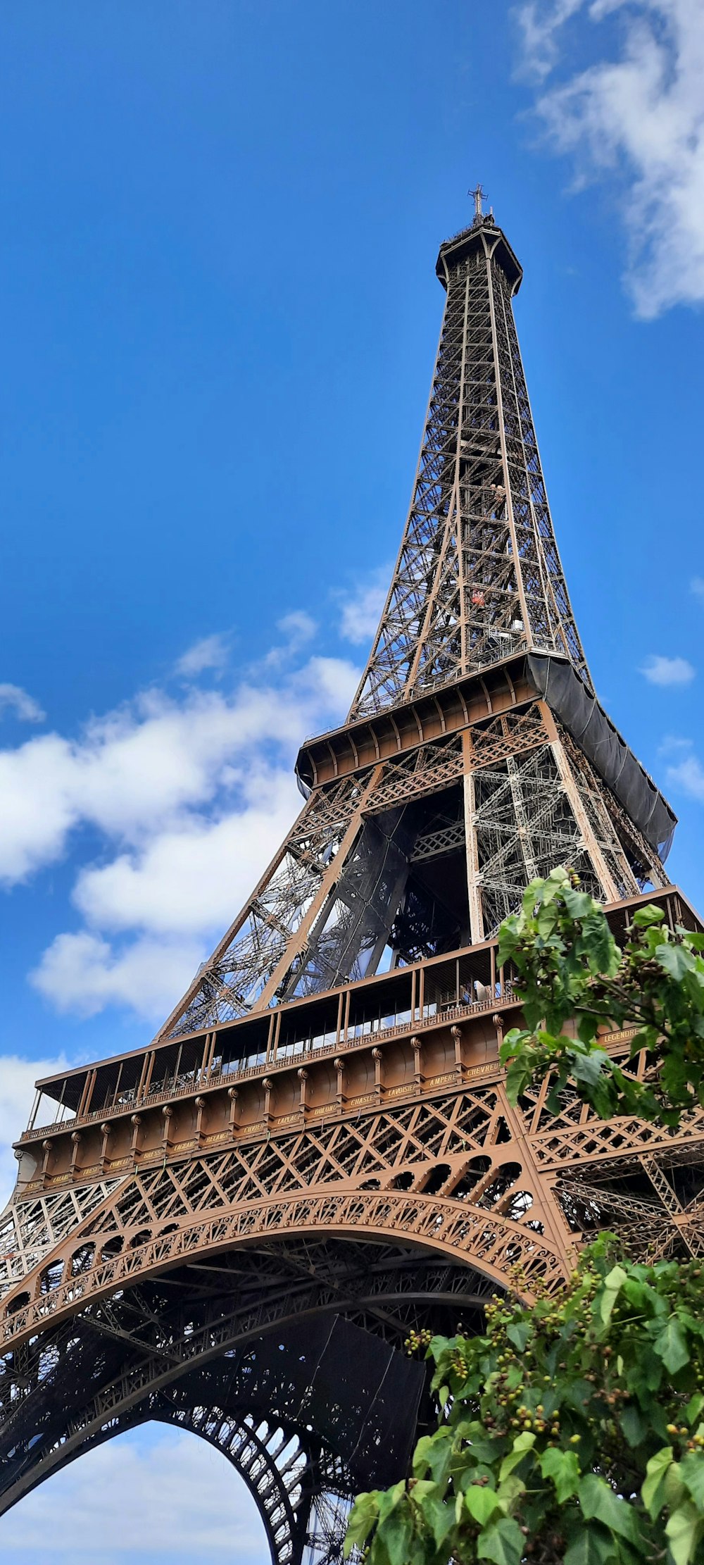 the eiffel tower towering over the city of paris