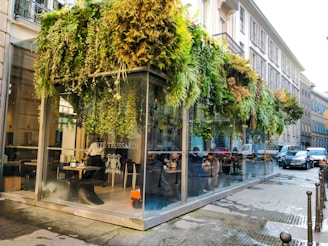 A modern, glass-walled cafe with a green roof featuring a luxuriant array of ferns and plants. Inside, people are seated at tables, enjoying food and drinks, while cars line the nearby street. The exterior design includes large glass panes providing an open view of the vibrant street life.