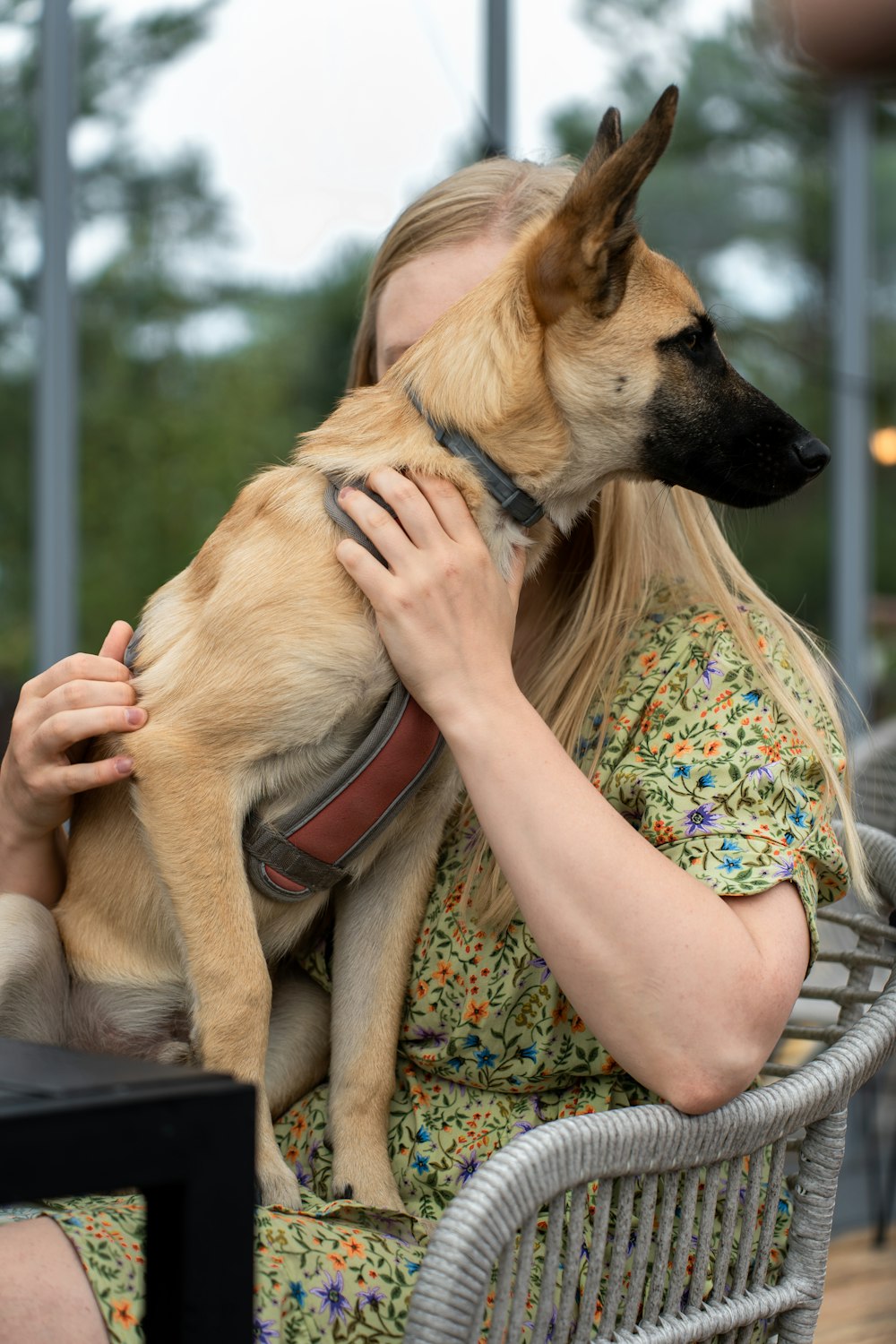 eine frau, die auf einem stuhl sitzt und einen hund hält