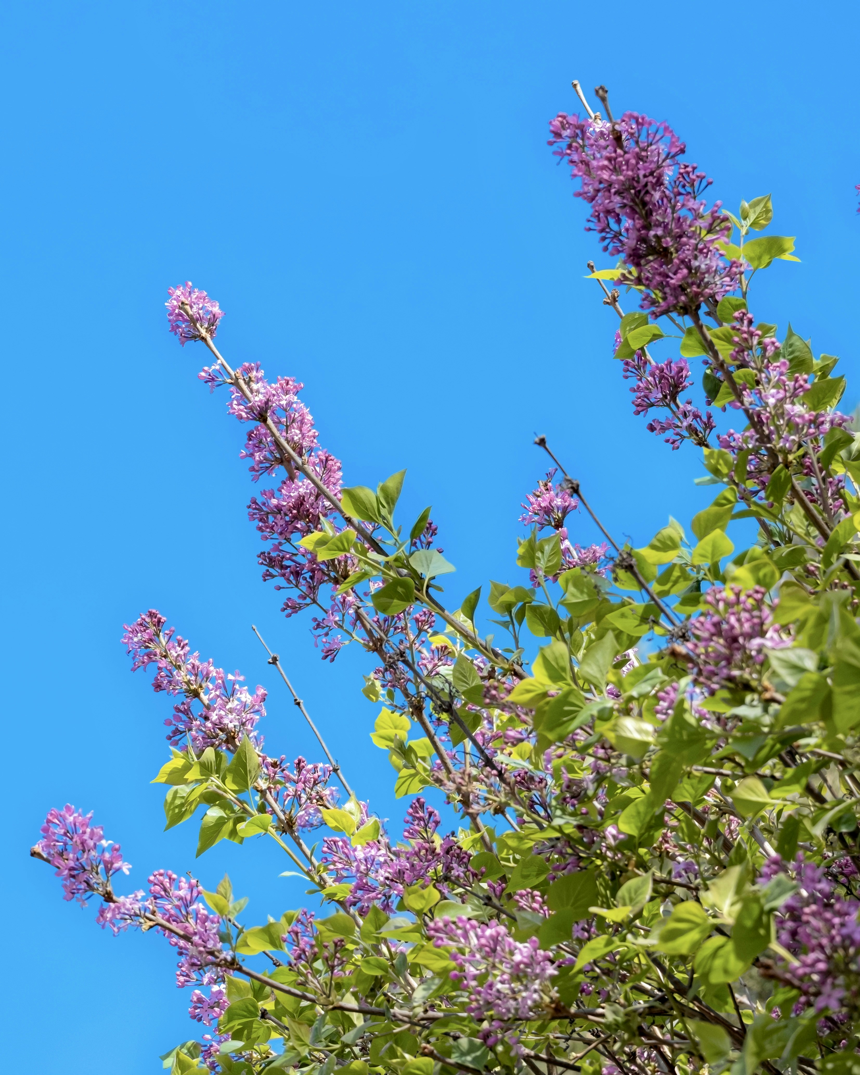 Photo by hattrick1996