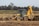 a bulldozer digging dirt in a field