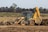 a bulldozer digging dirt in a field