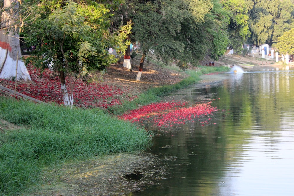 a body of water surrounded by trees and flowers