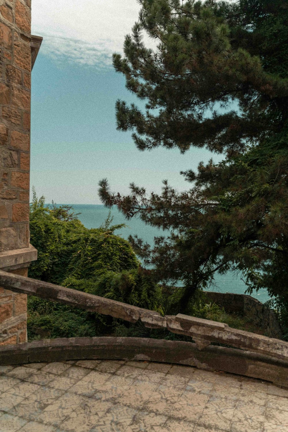 a man sitting on top of a bench next to a tree