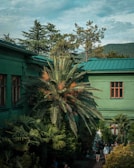 A lush garden with a prominent palm tree surrounded by various other green plants and trees. The setting includes a green building with multiple windows, indicating an outdoor courtyard or garden area. Several people are casually gathered, walking or standing in the garden.