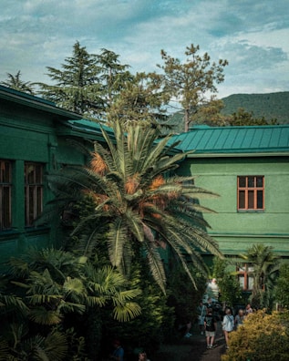 A lush garden with a prominent palm tree surrounded by various other green plants and trees. The setting includes a green building with multiple windows, indicating an outdoor courtyard or garden area. Several people are casually gathered, walking or standing in the garden.