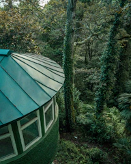 A cozy green roof blending with surrounding trees.