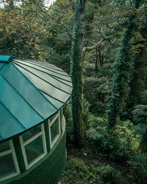 A cozy green roof blending with surrounding trees.