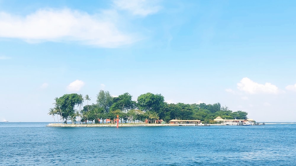 a small island in the middle of a body of water