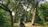 A person with a backpack is walking along a path in a lush, green forest. Tall trees with dense foliage surround the path, casting dappled shadows on the ground. The scene evokes a sense of tranquility and immersion in nature.