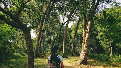 A person with a backpack is walking along a path in a lush, green forest. Tall trees with dense foliage surround the path, casting dappled shadows on the ground. The scene evokes a sense of tranquility and immersion in nature.