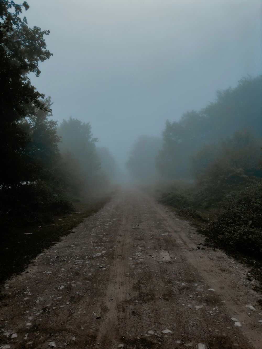 a dirt road in the middle of a forest