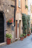 Historic cobblestone street lined with charming old buildings and vibrant flowers.