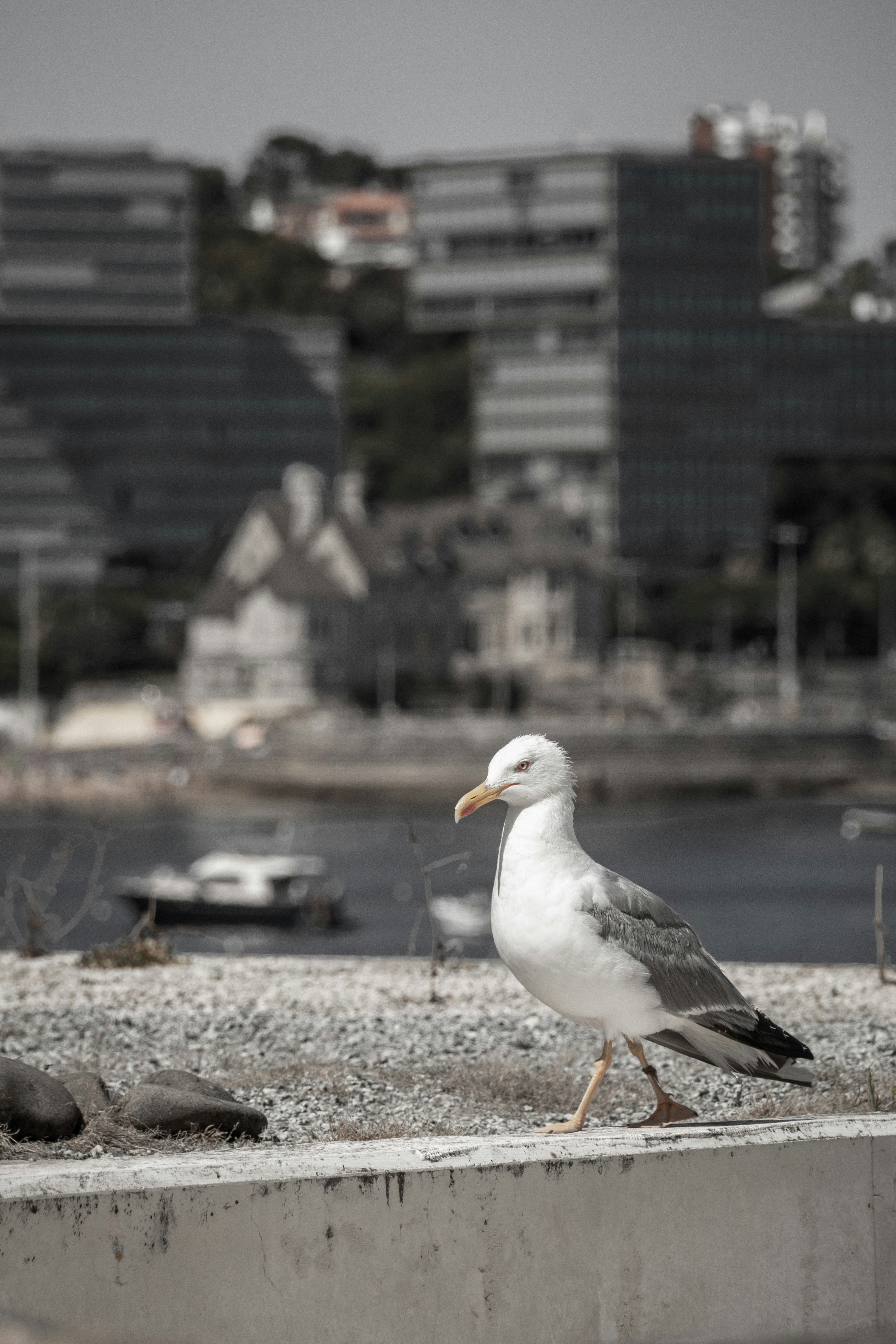 Photo by filipenobre