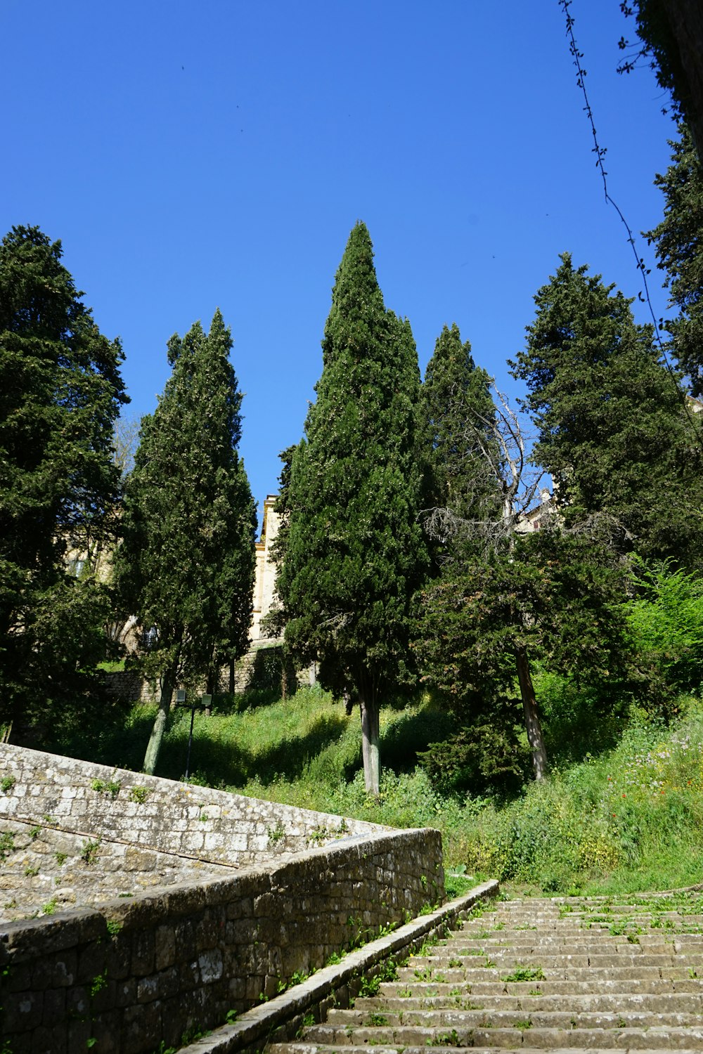 a set of steps leading up to a castle