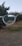 A pair of eyeglasses is held up in front of a blurry outdoor scene consisting of trees and a dirt ground. The lens of the glasses sharply focuses the trees behind it, creating a contrast between the focused view within the lens and the unfocused background.