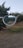 A pair of eyeglasses is held up in front of a blurry outdoor scene consisting of trees and a dirt ground. The lens of the glasses sharply focuses the trees behind it, creating a contrast between the focused view within the lens and the unfocused background.