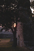 Sunset casting warm light on a medallion hanging from a tree branch overlooking a Sedona vortex site.