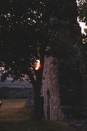 Sunset casting warm light on a medallion hanging from a tree branch overlooking a Sedona vortex site.