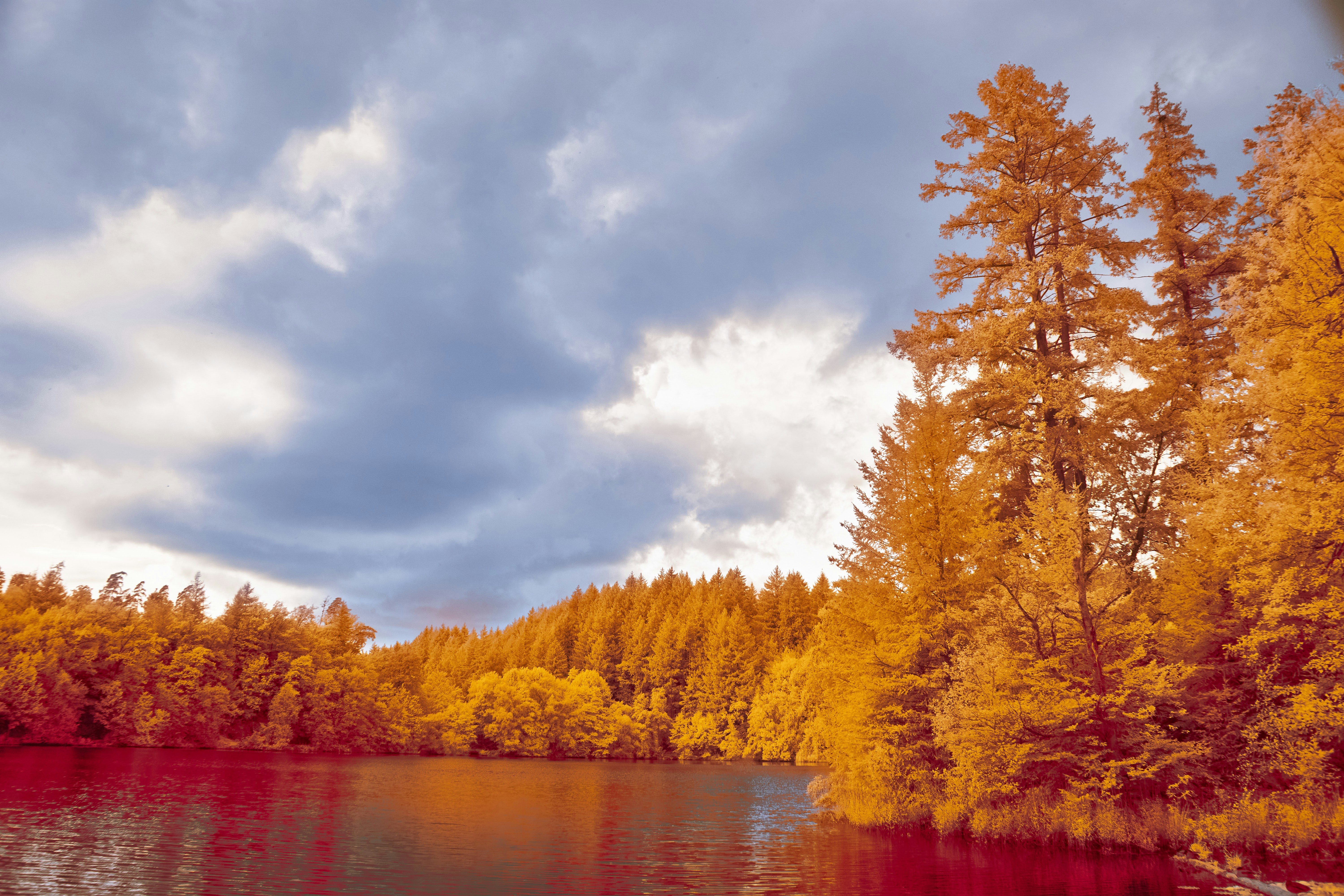 Photo by wolfgang_hasselmann