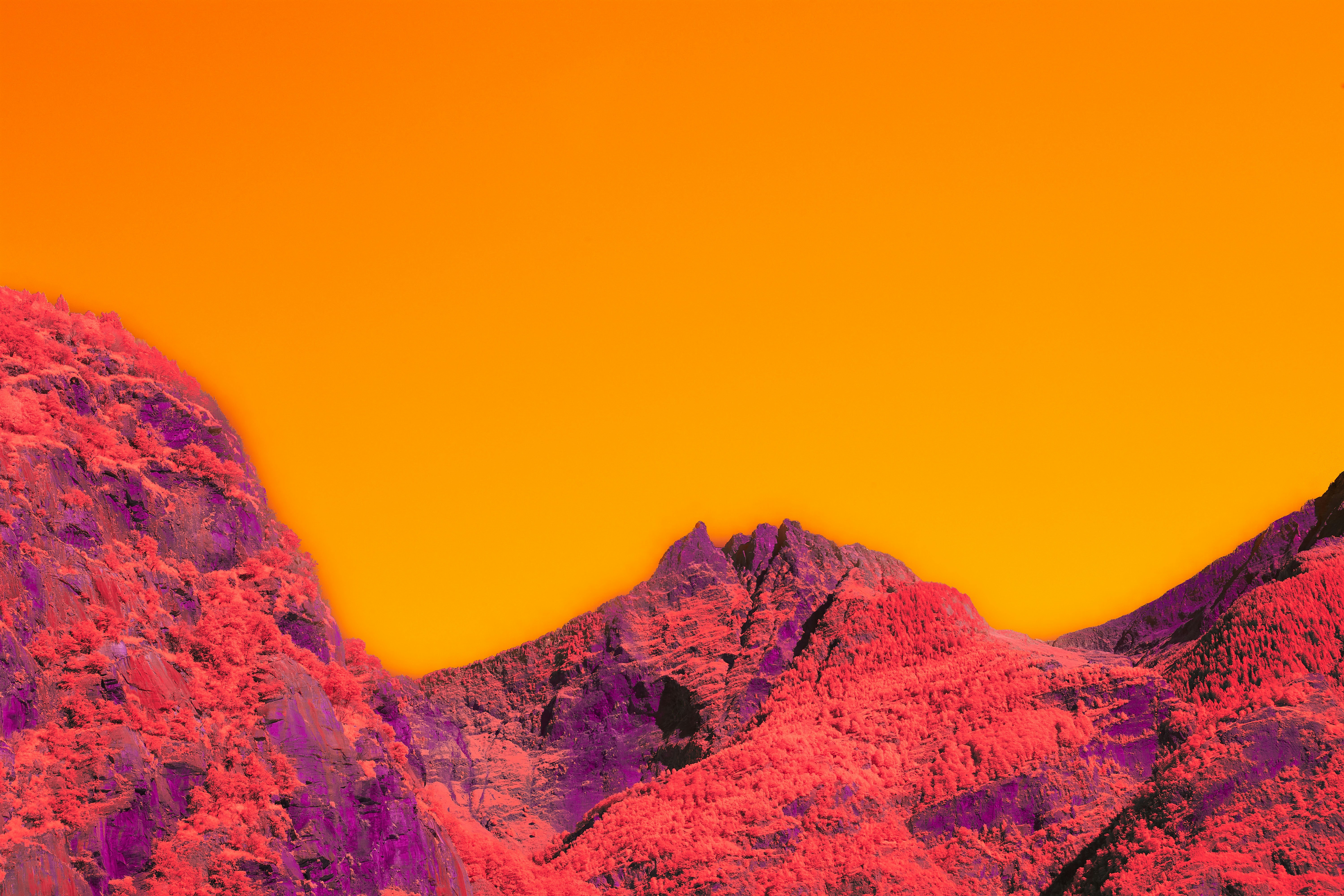 Photo by wolfgang_hasselmann