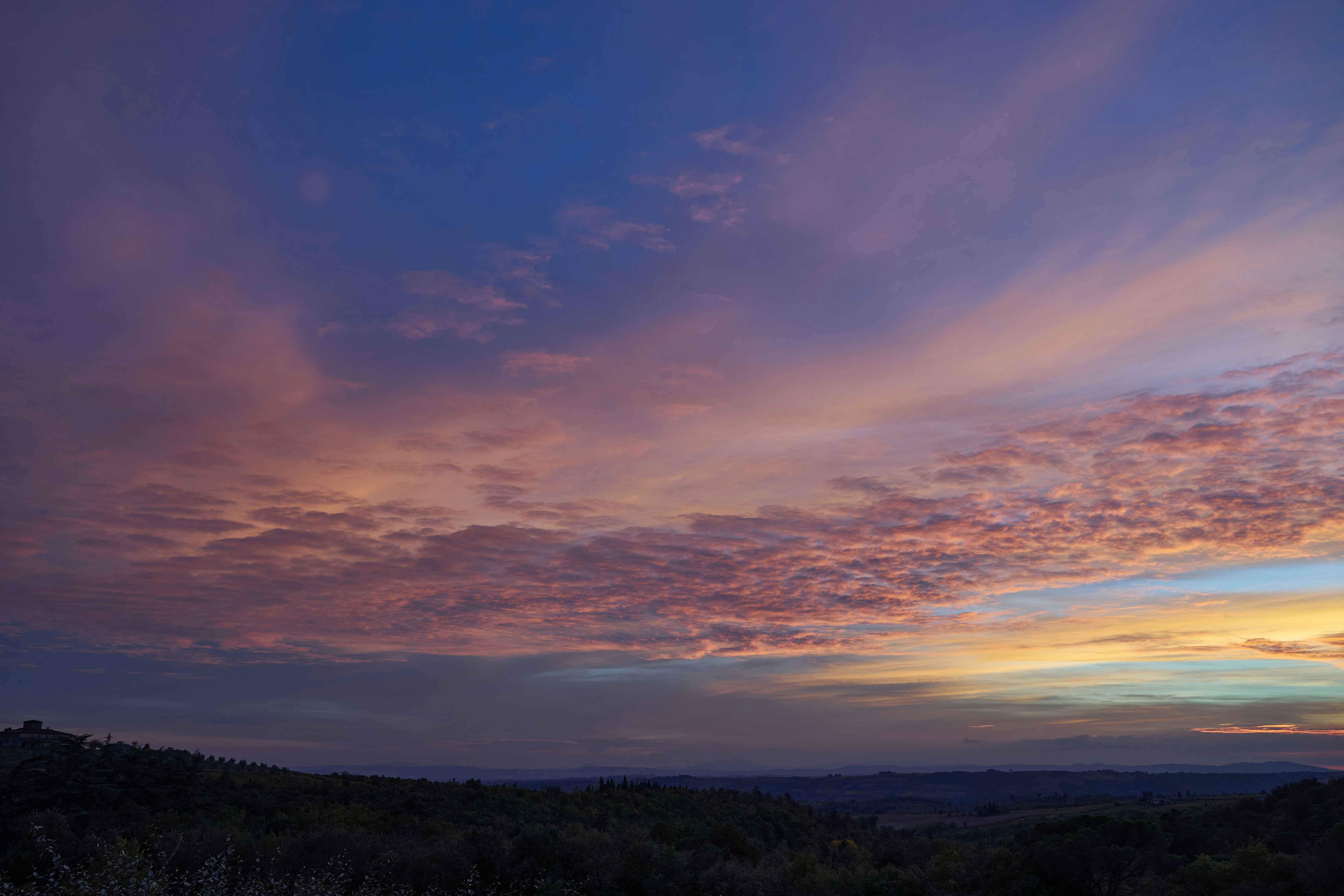 Photo by wolfgang_hasselmann