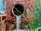A large, textured pipe emerges from an old brick wall, with water flowing out of it. The wall is composed of reddish-brown bricks and has patches of darker spots, suggesting age and weather exposure. To the right of the pipe, long green reeds are growing from the ground, adding a touch of nature to the urban setting. On the left, some bricks and concrete structures are visible.