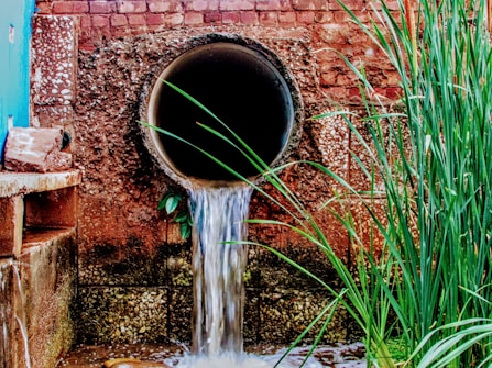 A large, textured pipe emerges from an old brick wall, with water flowing out of it. The wall is composed of reddish-brown bricks and has patches of darker spots, suggesting age and weather exposure. To the right of the pipe, long green reeds are growing from the ground, adding a touch of nature to the urban setting. On the left, some bricks and concrete structures are visible.