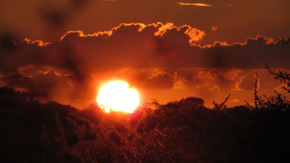 the sun is setting in the sky over the trees