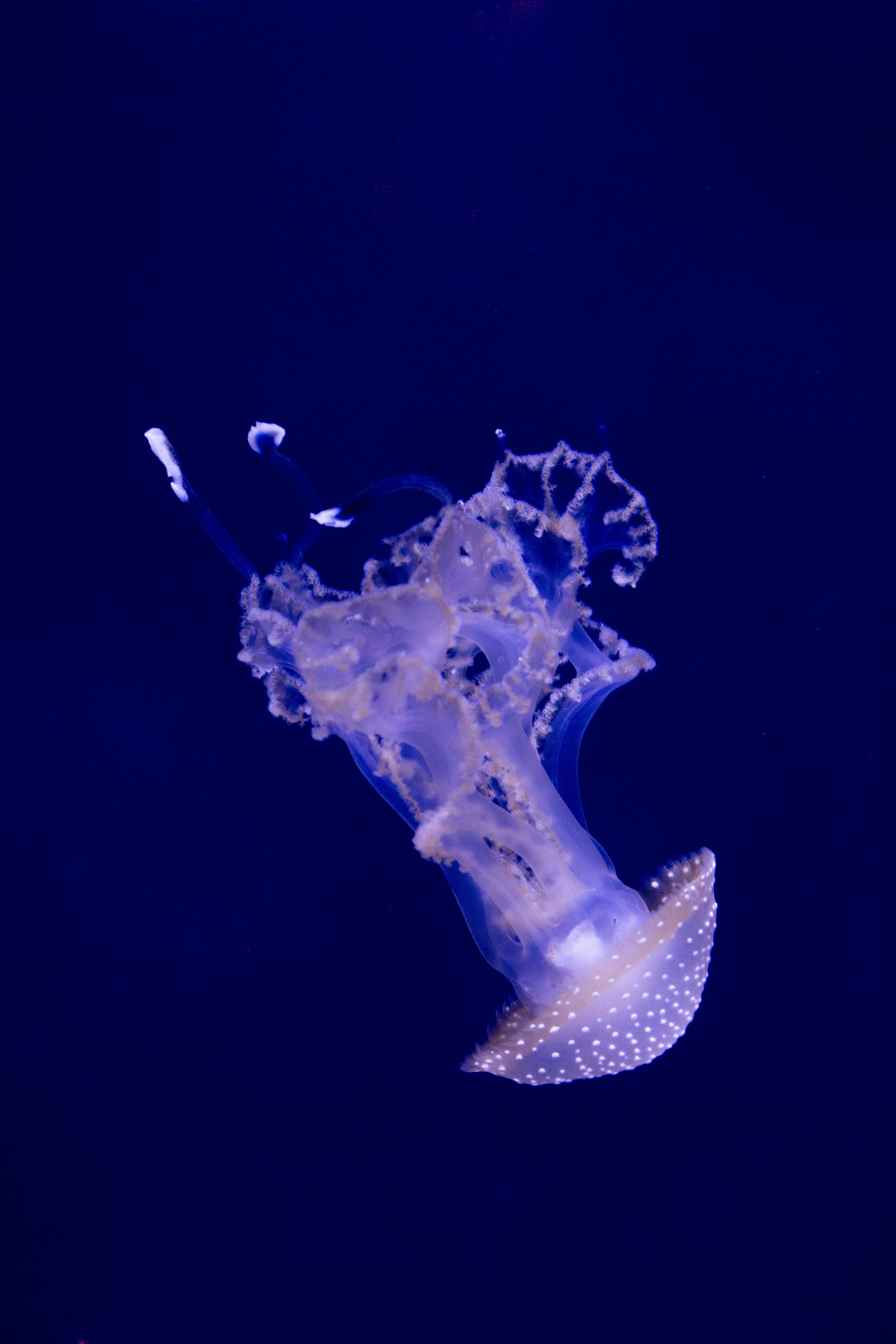 Photo by sofia_rotaru