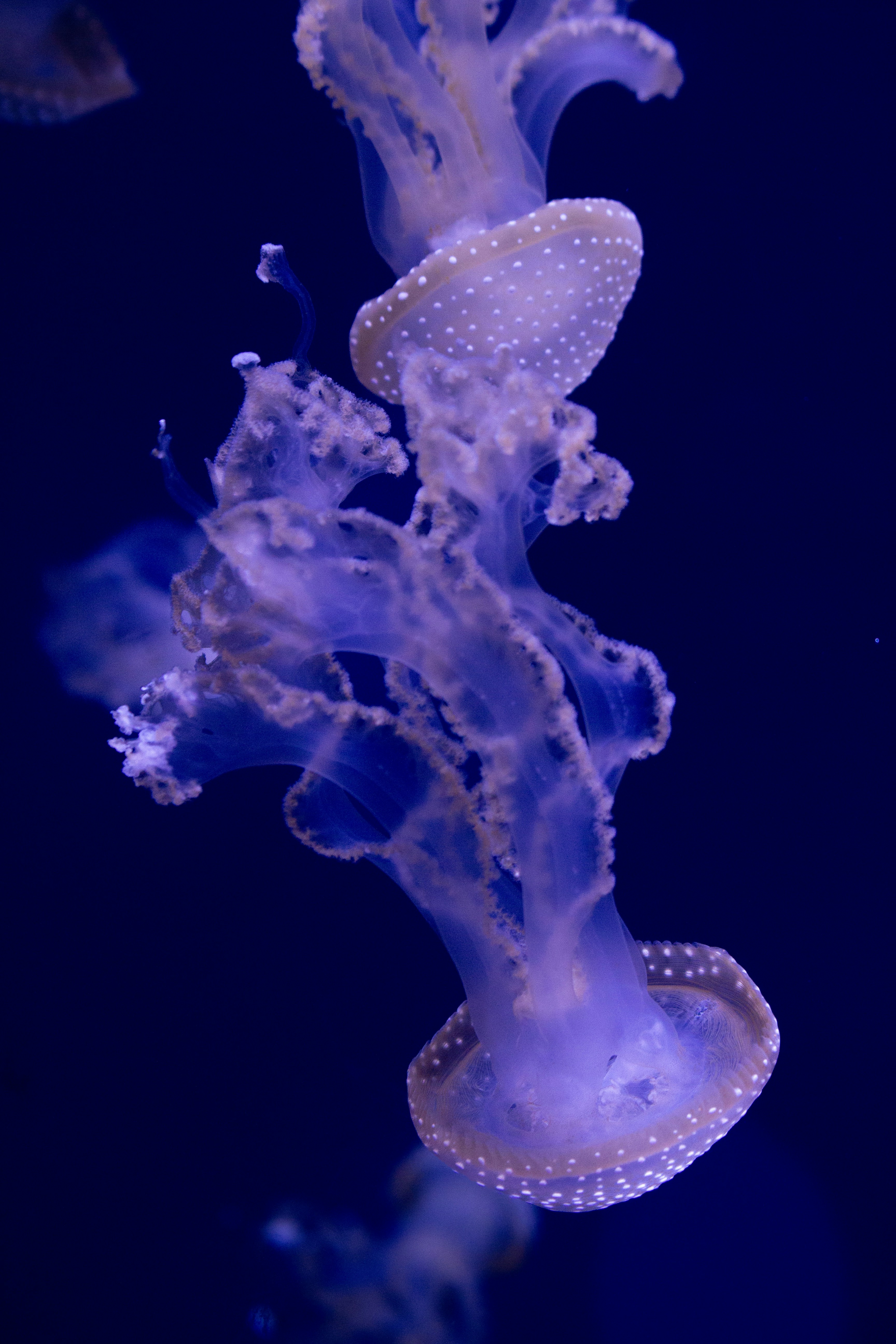 Photo by sofia_rotaru