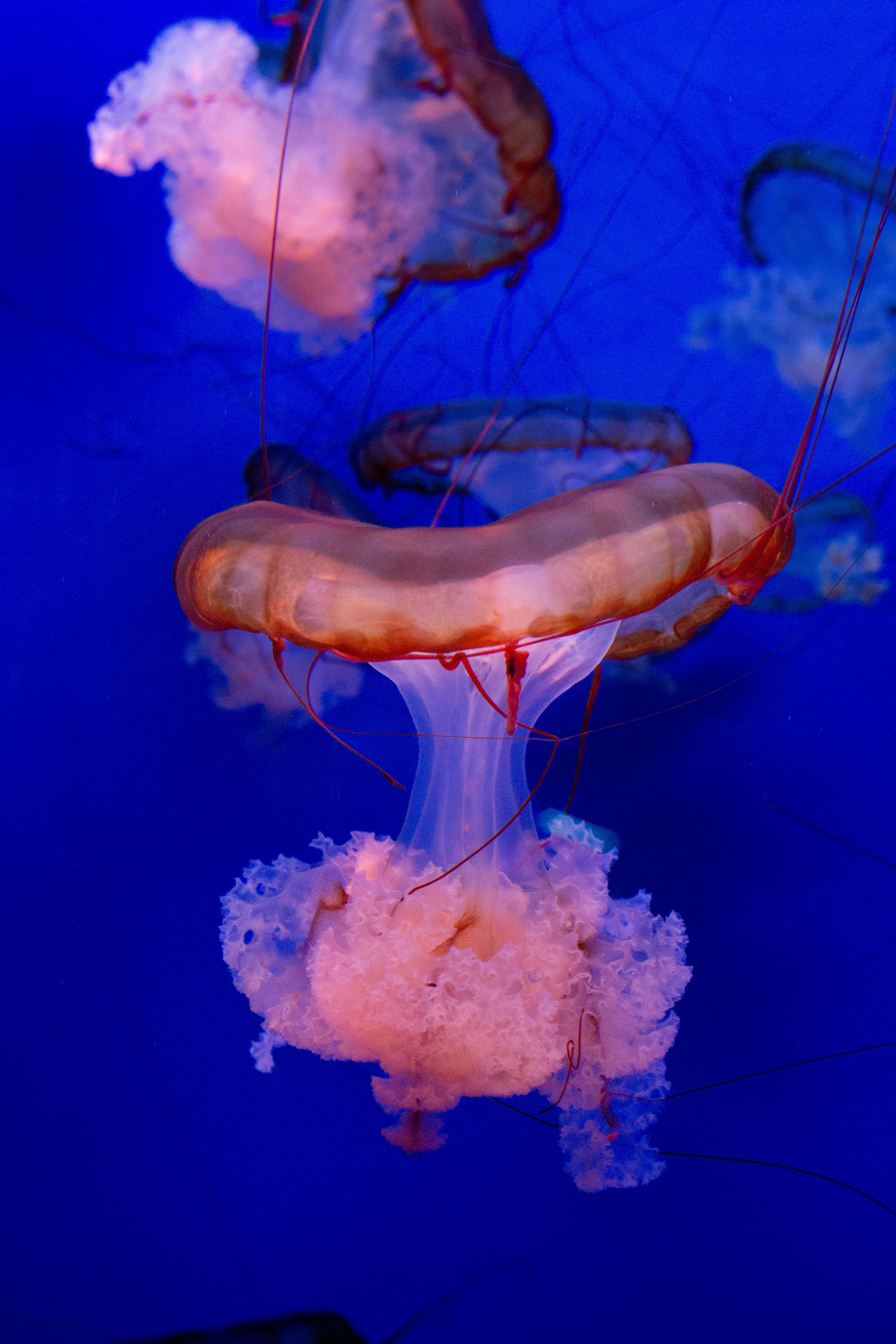 Photo by sofia_rotaru