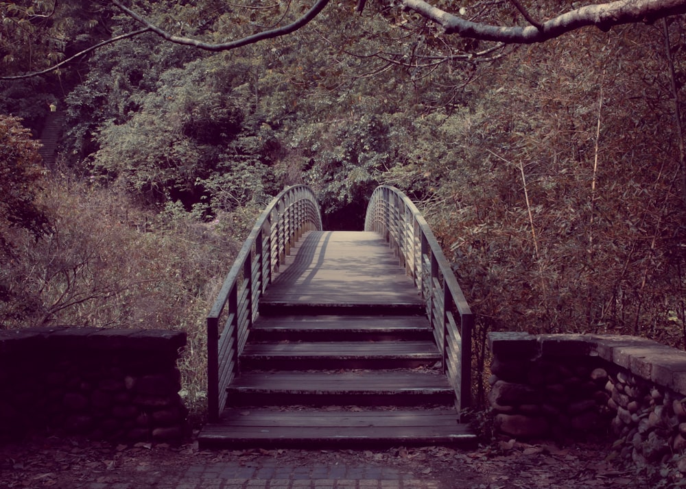 a wooden bridge with steps leading into a forest