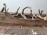 A natural wooden sculpture with various intertwined and curved branches resting on a surface of brick and stone. The branches have a rough texture, showcasing the natural grain and knots in the wood.