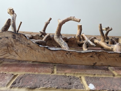 A natural wooden sculpture with various intertwined and curved branches resting on a surface of brick and stone. The branches have a rough texture, showcasing the natural grain and knots in the wood.