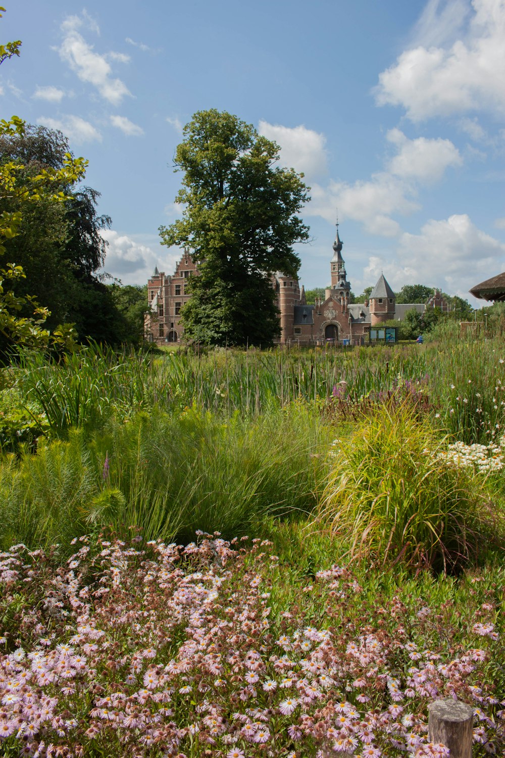 a field full of flowers and grass with a building in the background