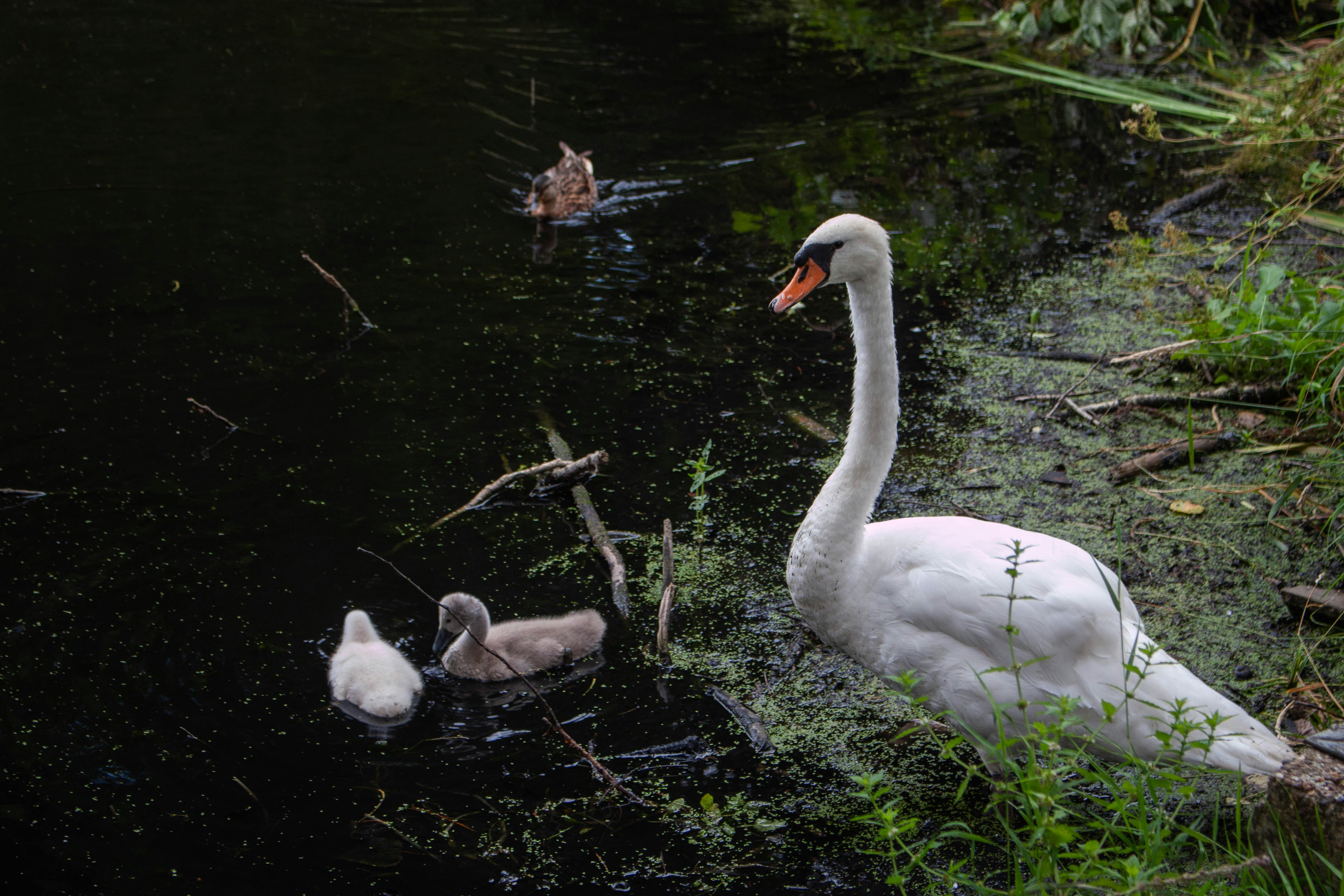 Photo by kamillaisalieva