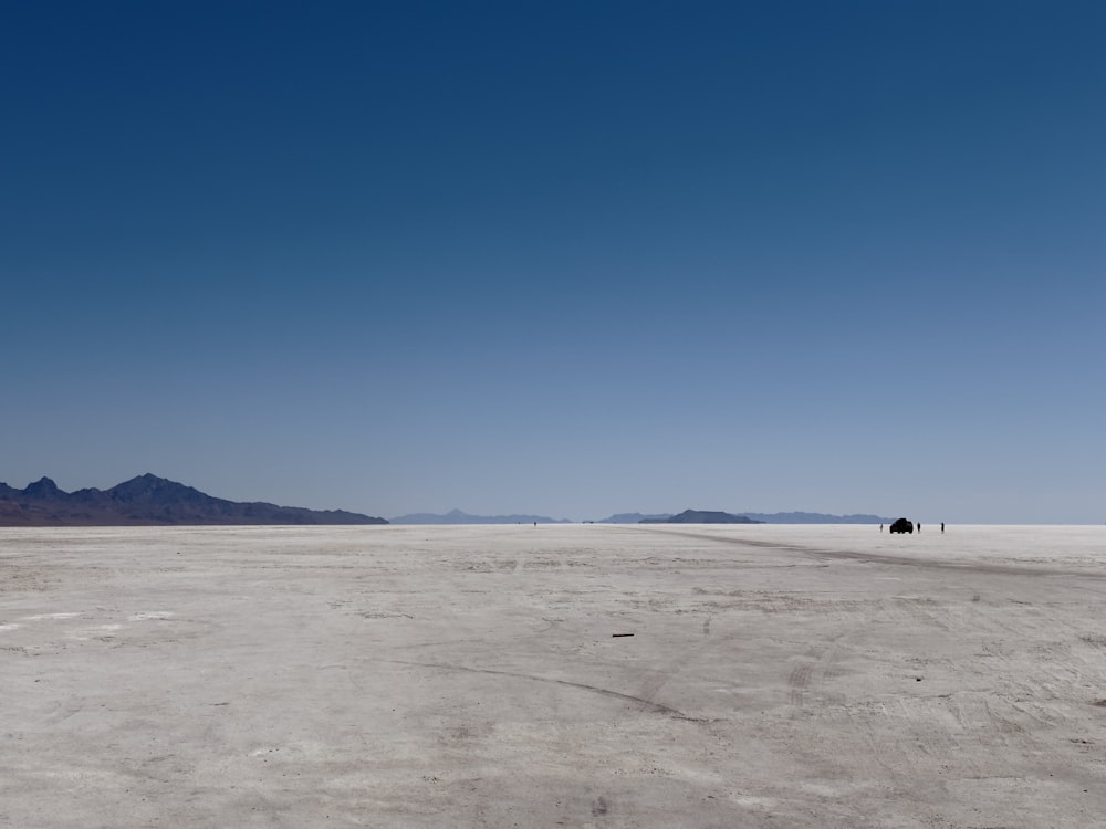 a lone horse is standing in the middle of the desert