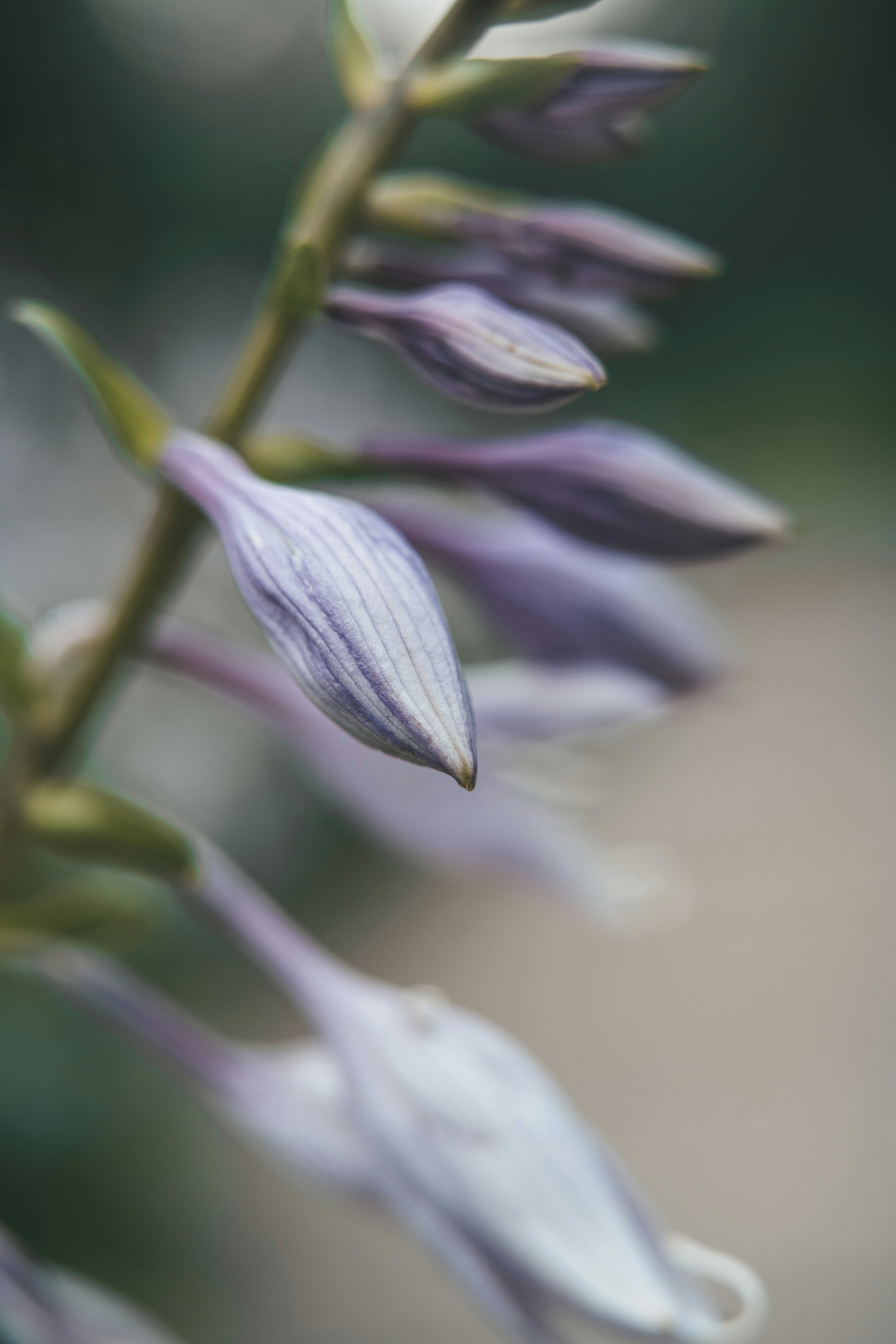 Photo by anamnesis33